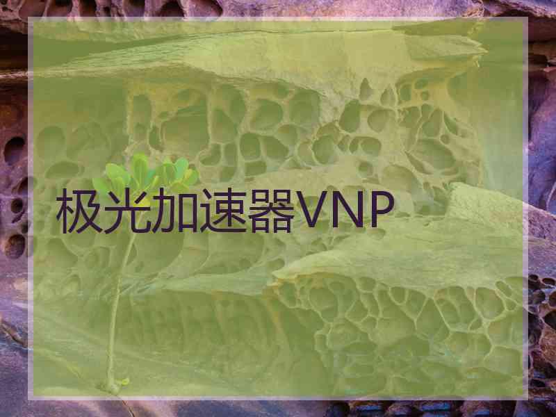 极光加速器VNP