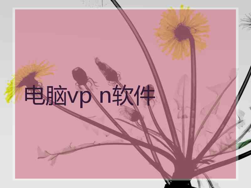 电脑vp n软件
