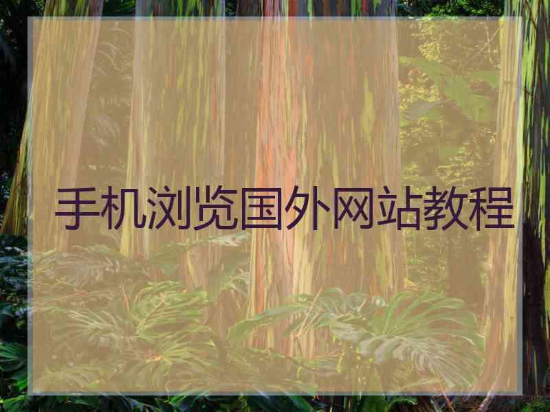 手机浏览国外网站教程