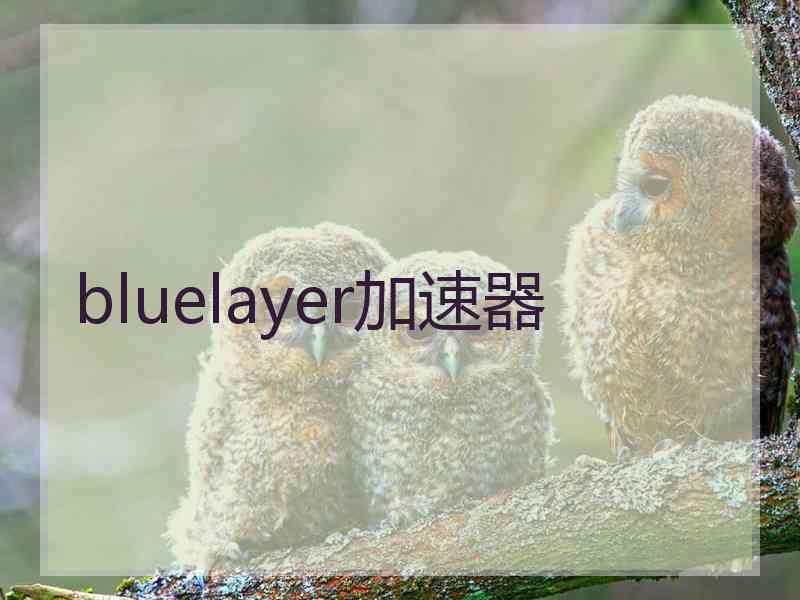 bluelayer加速器