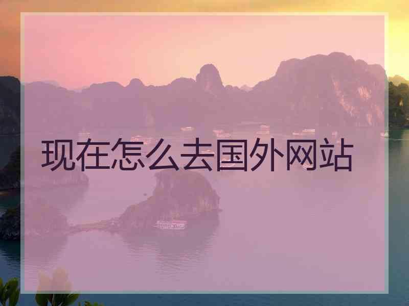 现在怎么去国外网站