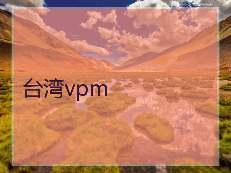 台湾vpm