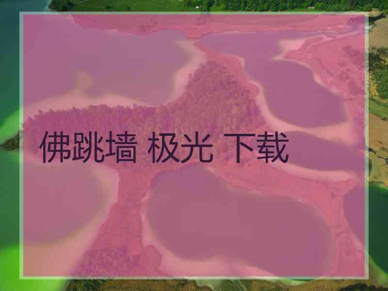 佛跳墙 极光 下载