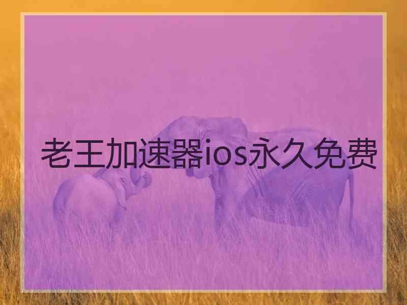 老王加速器ios永久免费