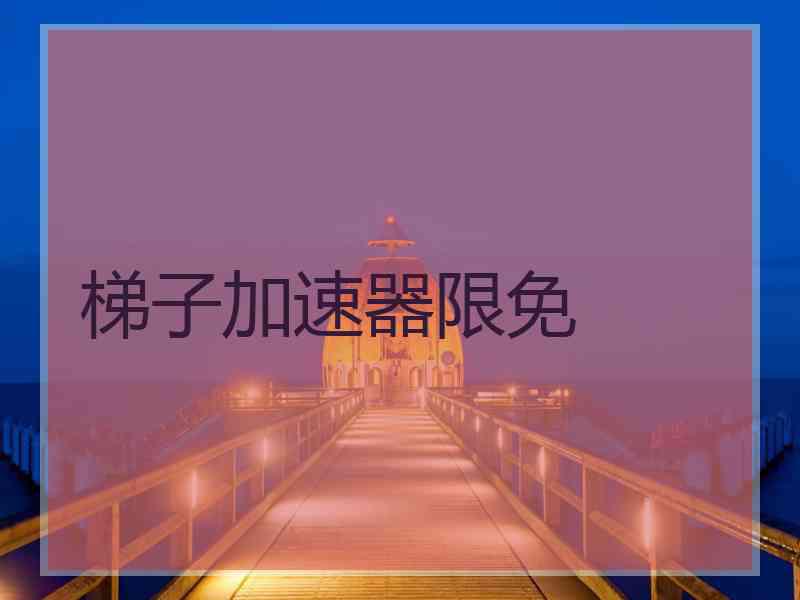 梯子加速器限免