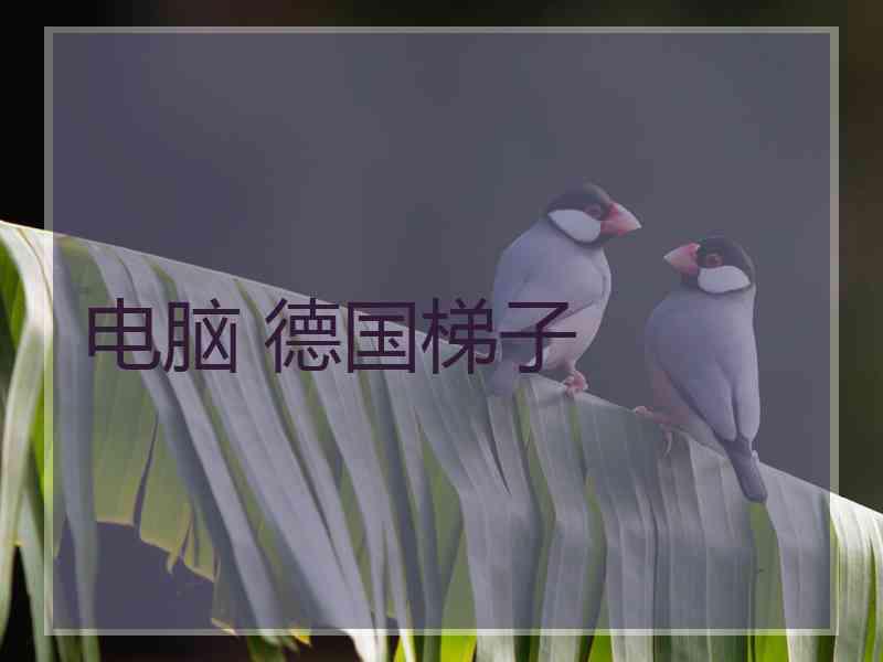 电脑 德国梯子
