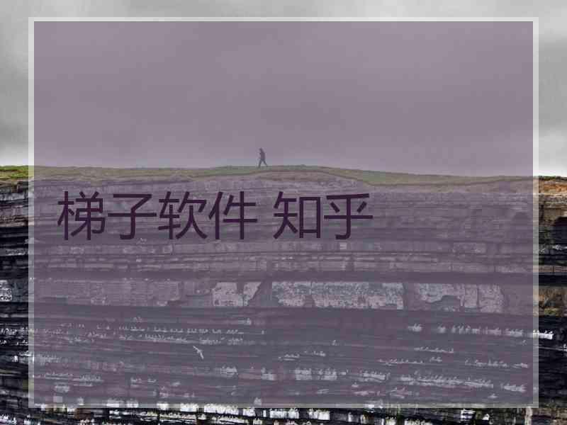 梯子软件 知乎
