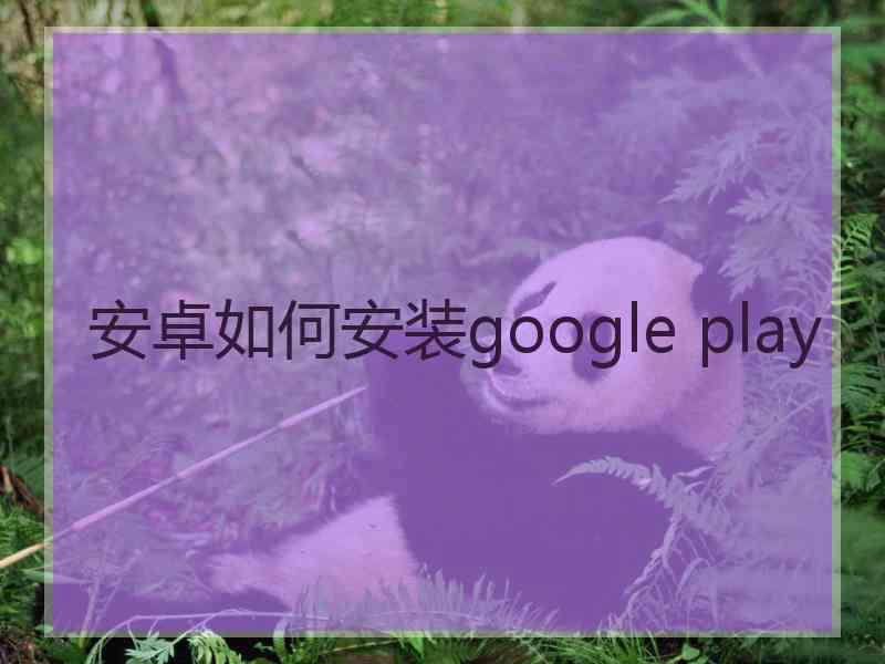 安卓如何安装google play