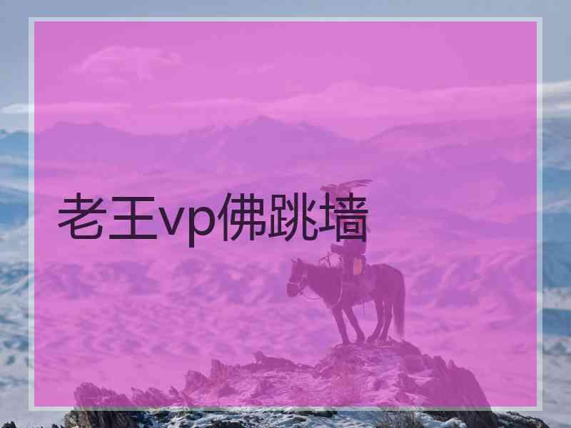 老王vp佛跳墙