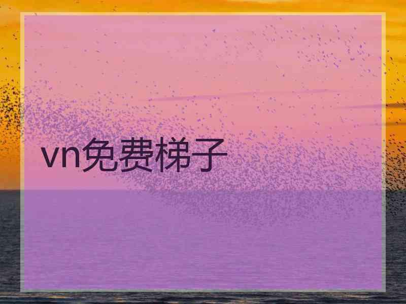 vn免费梯子