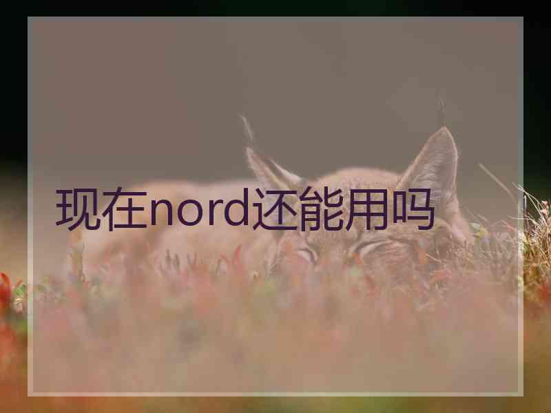 现在nord还能用吗
