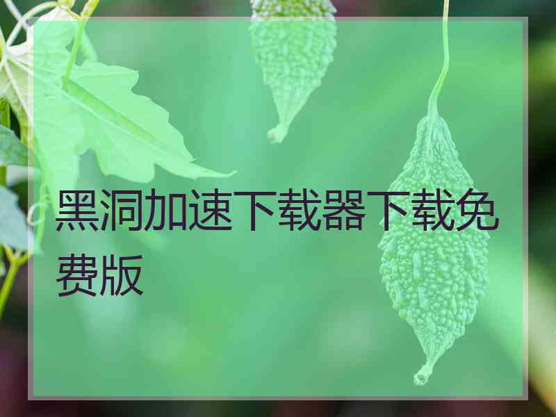 黑洞加速下载器下载免费版
