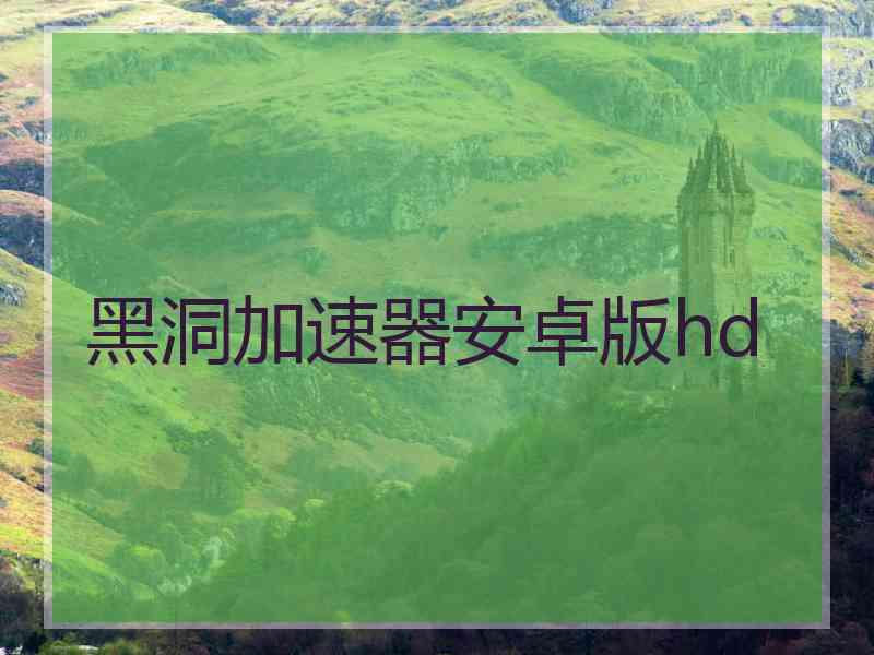 黑洞加速器安卓版hd