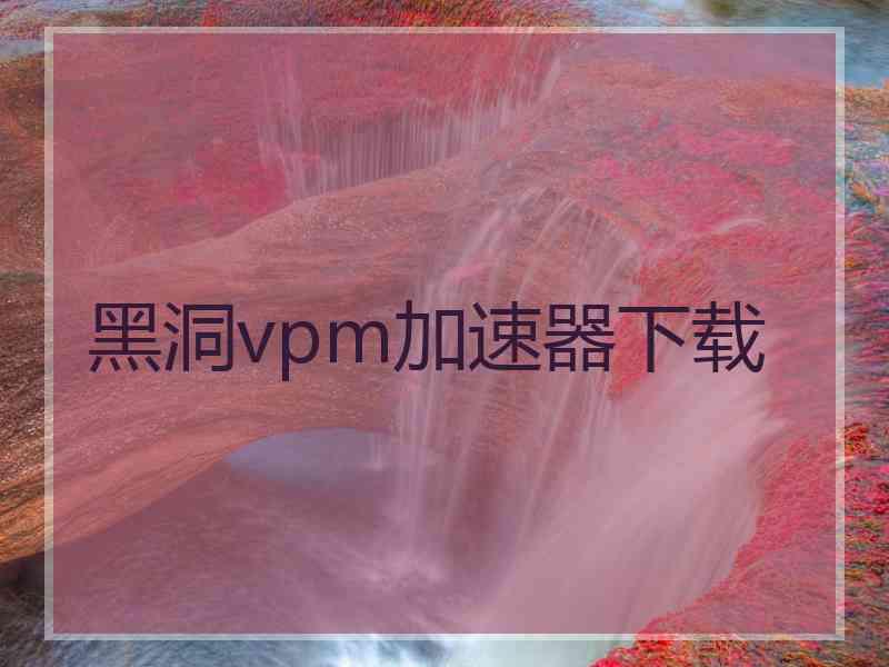 黑洞vpm加速器下载