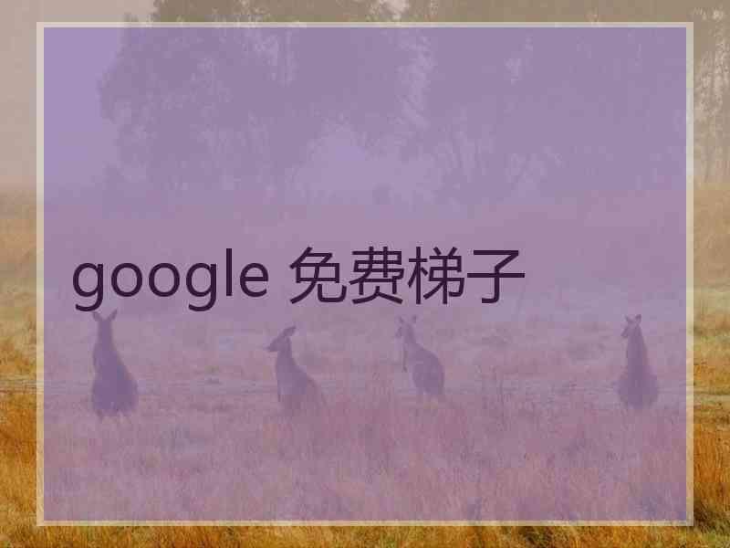 google 免费梯子