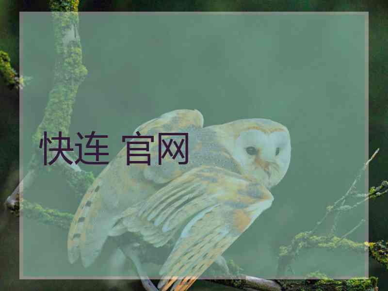 快连 官网