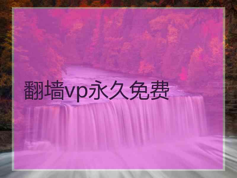 翻墙vp永久免费