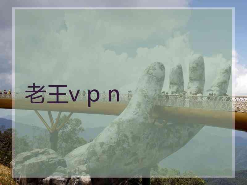 老王v p n