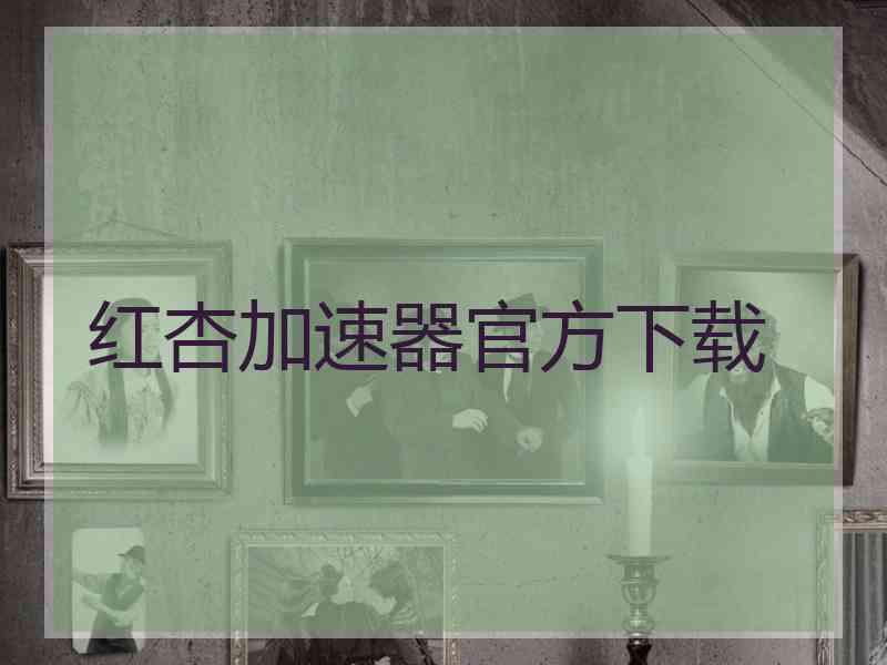 红杏加速器官方下载
