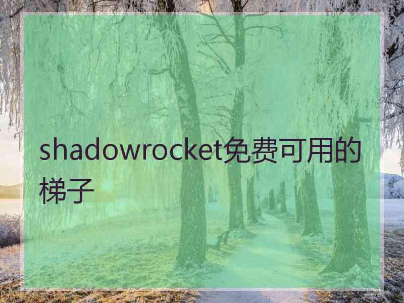 shadowrocket免费可用的梯子