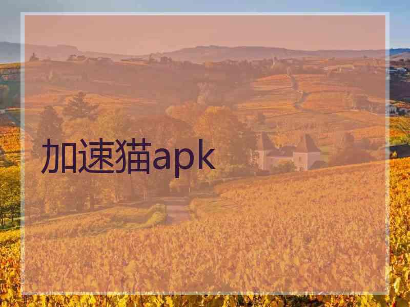 加速猫apk