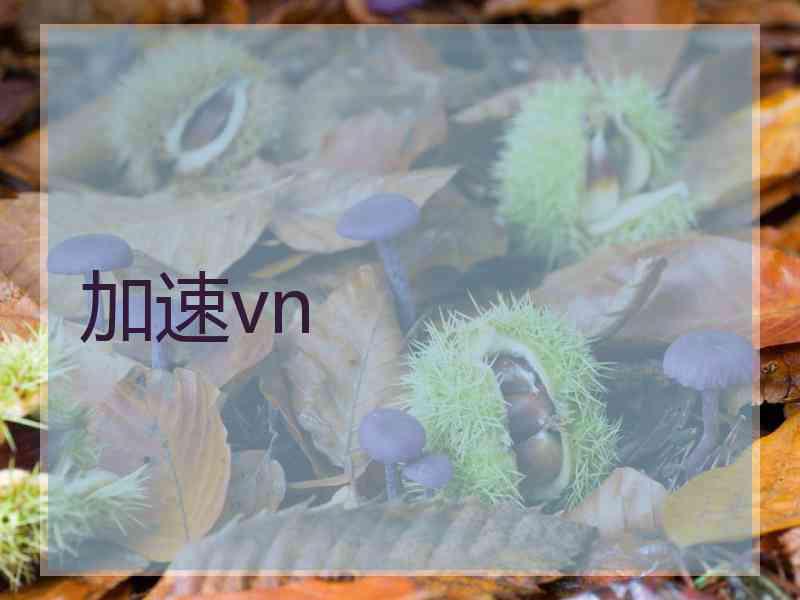 加速vn