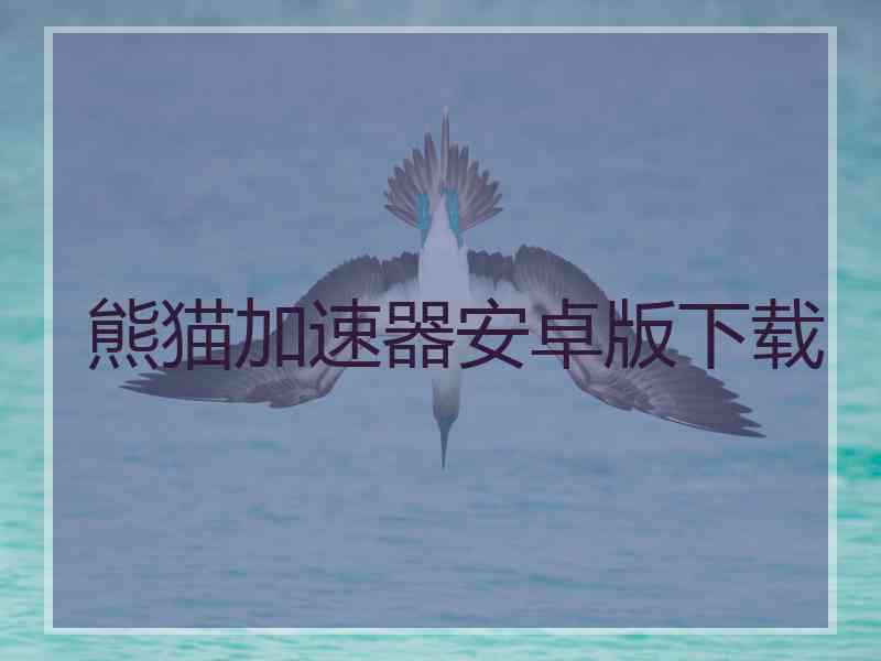 熊猫加速器安卓版下载