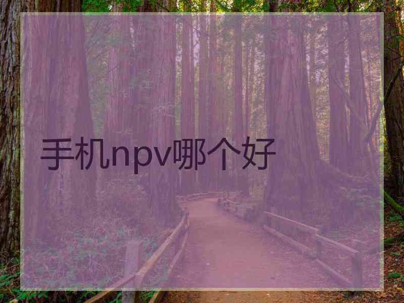 手机npv哪个好