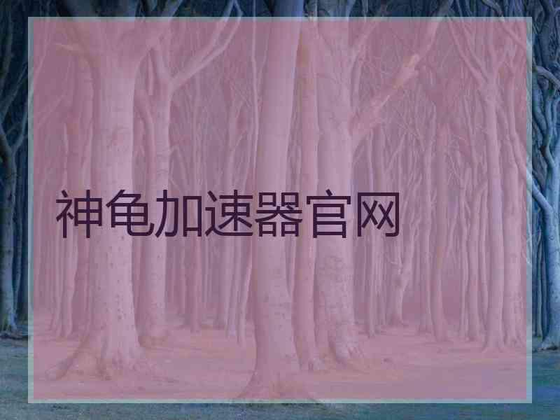 神龟加速器官网