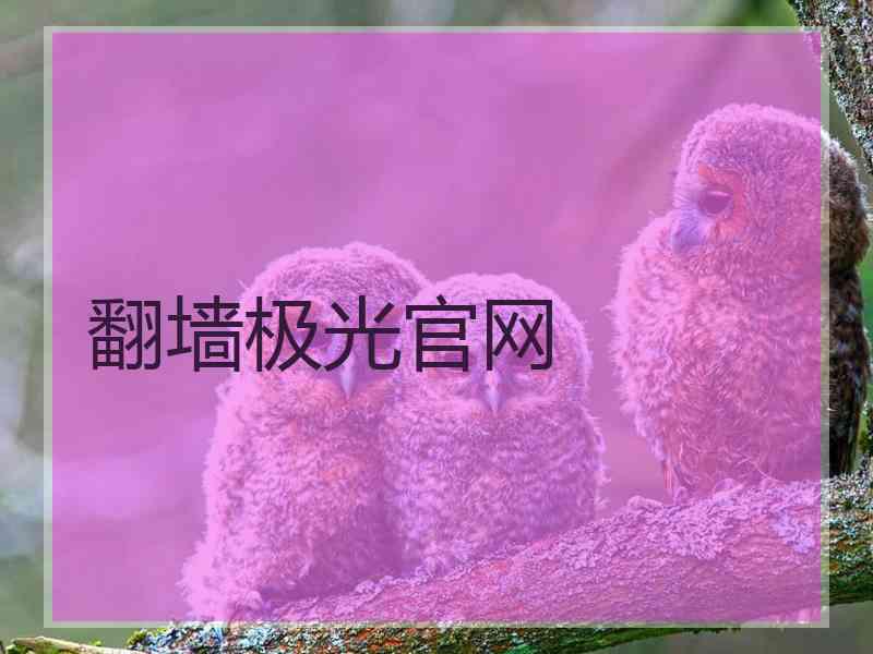 翻墙极光官网