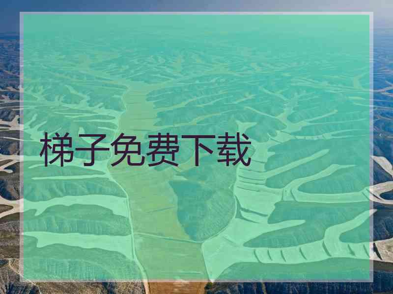 梯子免费下载