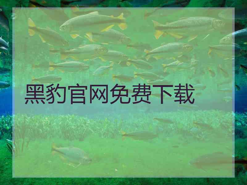 黑豹官网免费下载