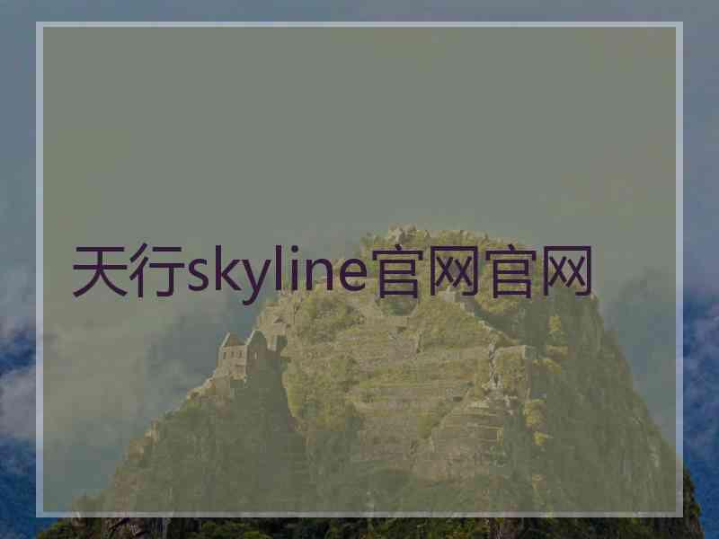 天行skyline官网官网