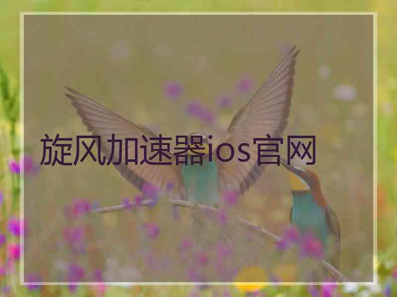 旋风加速器ios官网