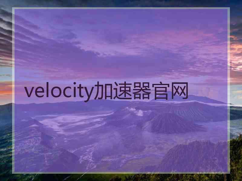 velocity加速器官网