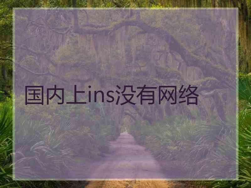 国内上ins没有网络