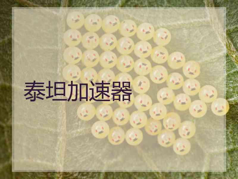泰坦加速器