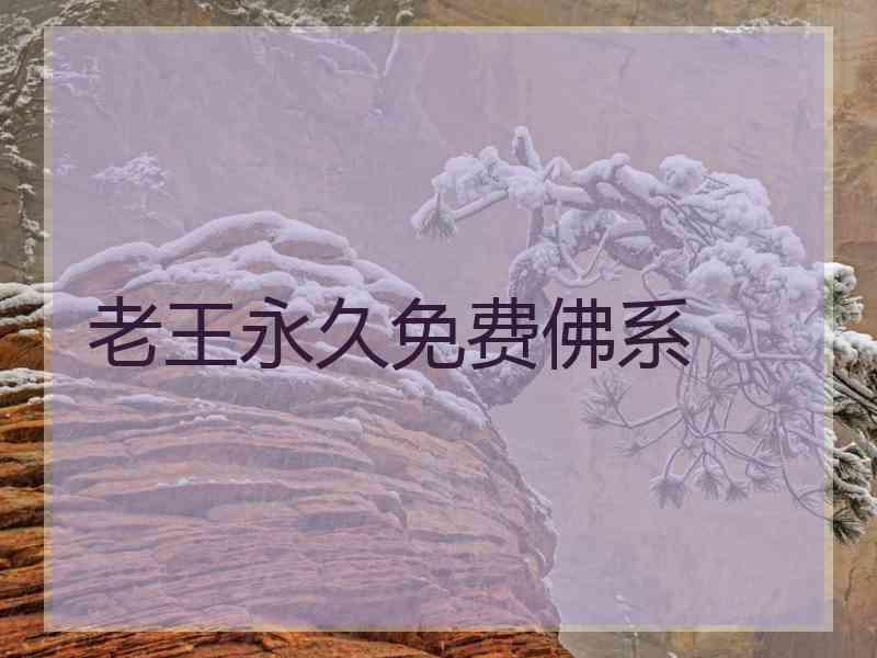 老王永久免费佛系