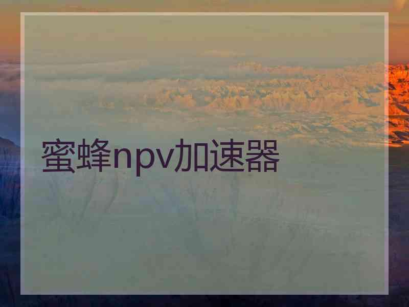 蜜蜂npv加速器