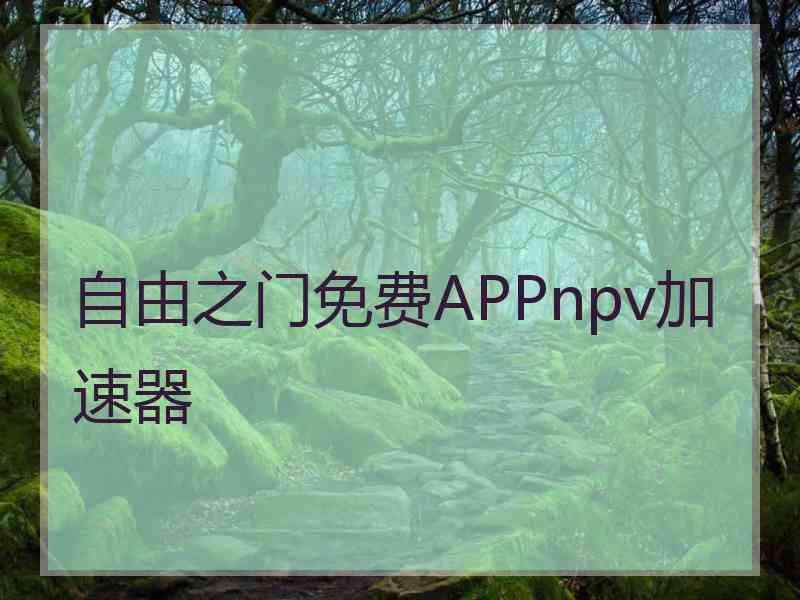 自由之门免费APPnpv加速器