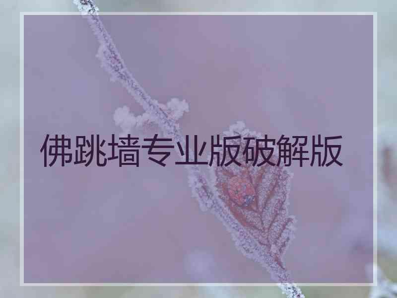 佛跳墙专业版破解版