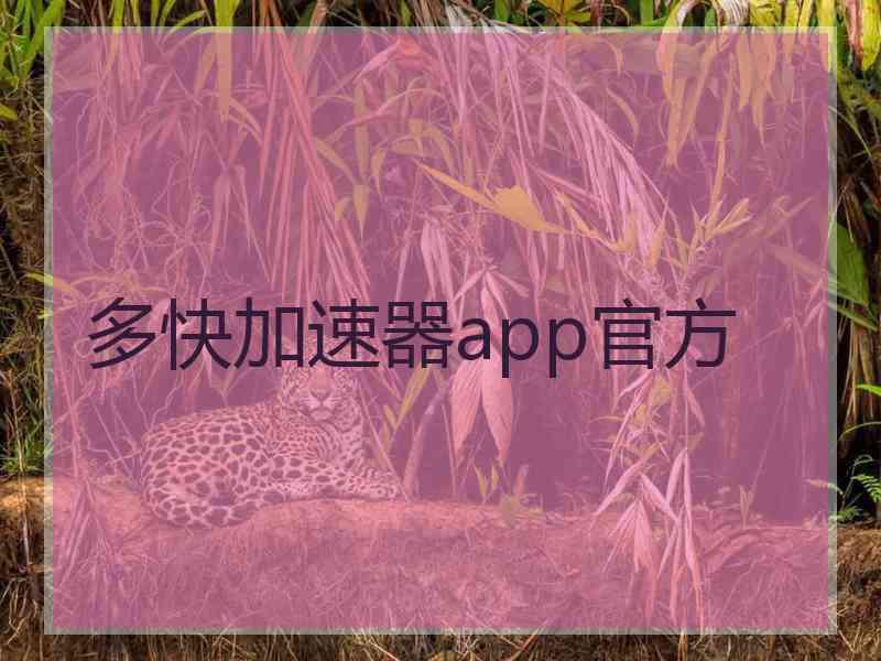 多快加速器app官方