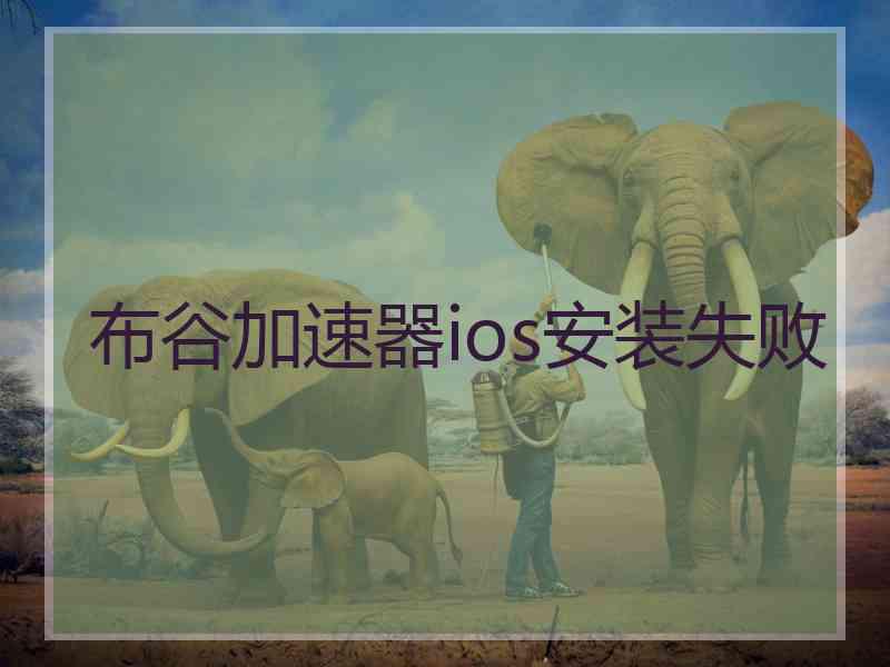 布谷加速器ios安装失败