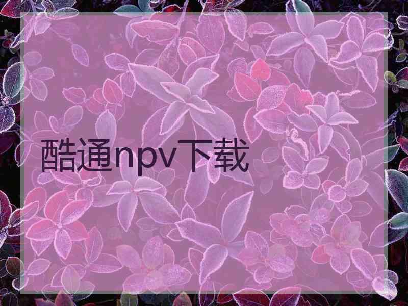 酷通npv下载