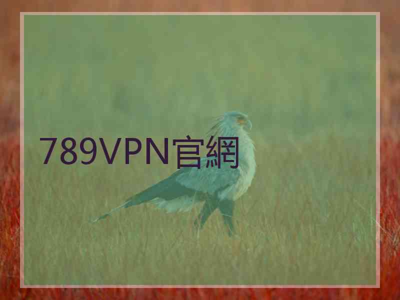 789VPN官網
