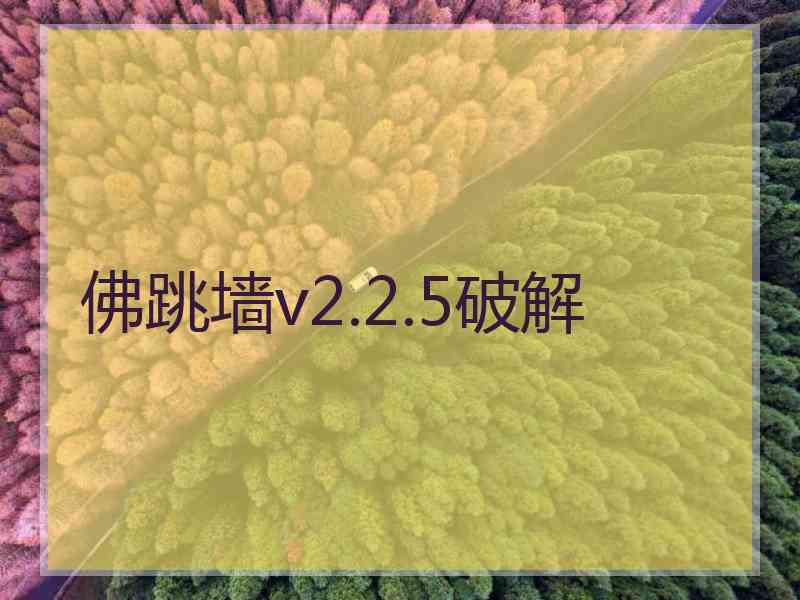 佛跳墙v2.2.5破解