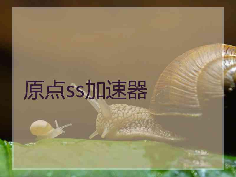 原点ss加速器