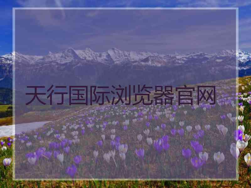 天行国际浏览器官网