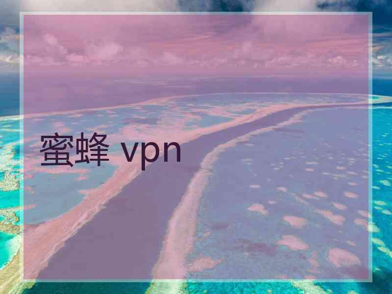 蜜蜂 vpn