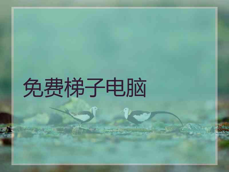 免费梯子电脑
